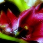 Вячеслав Маевский8 Вячеслав Маевский8