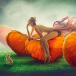 Foggy mandarine fields