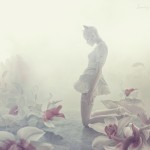 White cat walk_Strange garden