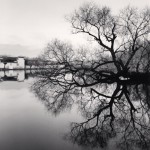 Reflected Tree, Hongkun, Anhui, China, 2007_2
