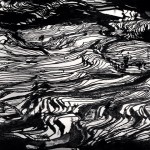 Yuanyang, Study 3, Yunnan, China, 2013_2