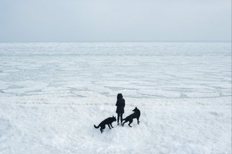 Frozen sea, Odessa, Ukraine